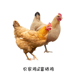 健康【富硒】农家鸡鸭